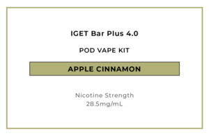 Iget Bar Plus 4 0: IGET Bar Plus 4.0 Pod Vape Kit - Apple Cinnamon