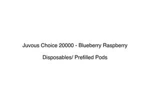 Juvous Choice 20000 - Blueberry Raspberry