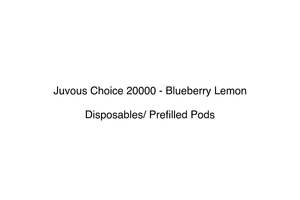 Juvous Choice 20000 Disposable Vape With Prefilled Pod System: Juvous Choice 20000 - Blueberry Lemon