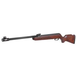 Gamo Promo Dec 2023: 150241     ~ GAMO HUNTER 440 AS .22
