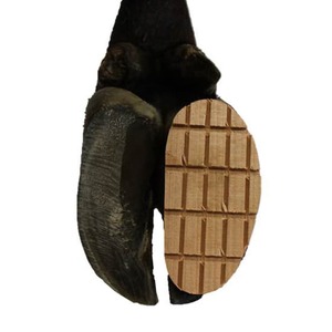 Claw Blocks: Wooden claw block (each)