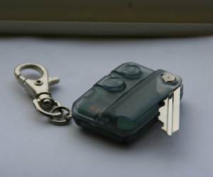 Products: RTD remote VEELA NZ