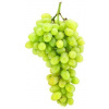 Products: Grapes - Green Seedless - Per Kg - Vege Star Greerton