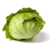 Lettuce Iceberg - Each - Vege Star Greerton