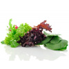 Lettuce Mix (150gm) Bag - Vege Star Greerton