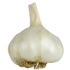 Products: Garlic - NZ - Per Kg - Vege Star Greerton