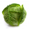 Products: Cabbage Savoy - Whole - Vege Star Greerton