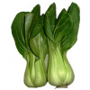 Products: Shanghai - Pre packed - Vege Star Greerton