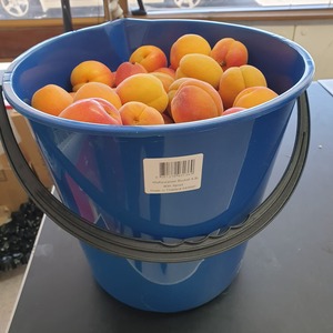 Products: 5 kg bag of Apricots