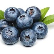 Products: Blueberries 500gm punnet