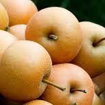 Products: Nashi Pears kg