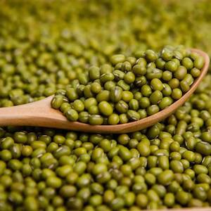 Beans Lentils: Green Mung Beans