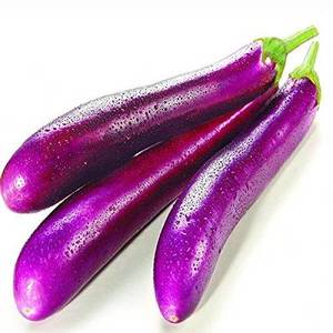 Vegetables 1: Long Eggplant