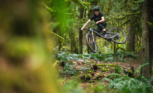 All Transition: Transition Sentinel Alloy GX AXS Custom