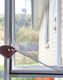 Magnetic Insect Screens
