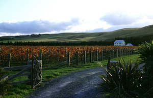All Tours: Martinborough Retreat