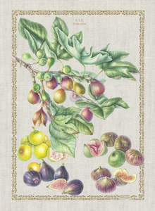 Tea Towels: Sue Wickison  Linen Tea Towel