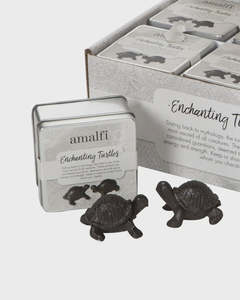 Enchanting Turtles | Set of 2