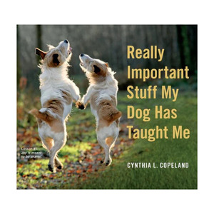 Really Important Stuff  my Dog has Taught Me