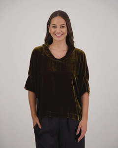 Briarwood: Briarwood Hanley Velvet Top | Tan