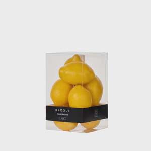 Faux Greenery: Rogue-Lemons | 8pcs Set