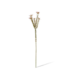 Faux Greenery: Leucadendron Spray | BurgundyGreen