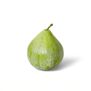 Faux Greenery: Fig-Green | Small