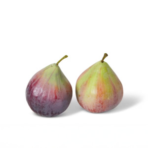 Faux Greenery: Fig-Green Purple | Small
