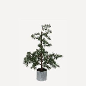 Faux Greenery: Potted Fir Tree | Small