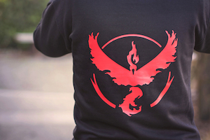 Products: Pokemon Go Hoodie - Verboom Tees