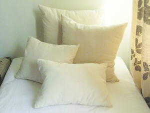 Products: Feather Cushion Inners