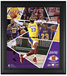 Products: Michael Jordan Upper Deck Commemorative 1991 Championship Plate
