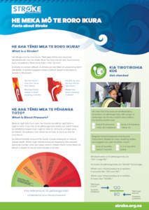 Stroke A4 Pad - Facts about Stroke BILINGUAL (50 PER PAD)