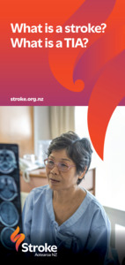 Stroke Client Collection: DL What is a Stroke & What is a TIA - Packs of 25