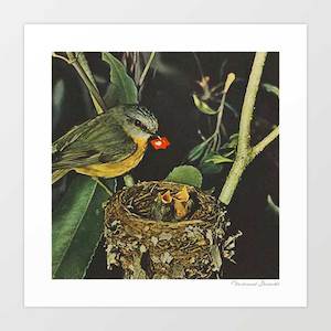 Social Media: 'Birdie likes' Art Print by Vertigo Artography