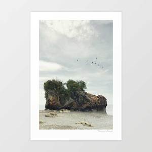 New Zealand: 'Shoe Island' Art Print by Vertigo Artography