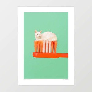 Animals: 'Toothpaste Cat' Art Print by Vertigo Artography | Surreal Retro Cat Wall Art Quirky Bathroom Decor