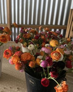 Products: Seasonal Buckets of Flowers - VERVE