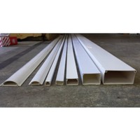 Conduit & Trunking: Trunking 100X50mm 4M