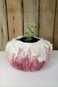 Lovely succulent, cactus plant pot in rose color. Fluffy wool decor, jewelry box&hellip;