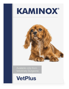 Products: VetPlus Kaminox Potassium Supplement for Dogs 5.4g x 30 sachets Vet Online Co