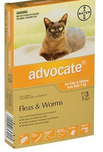 Products: Advocate® For Small Cats and Kittens under 4kg - 3 Pack Vet Online Co