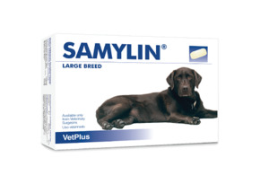 Products: Samylin Liver Supplement Tablets 30 Pack - Large Breed Vet Online Co