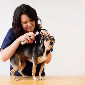 Arthritis/Joint Disease