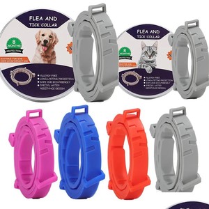 Collars, Leads, Harness: Flea and Tick Collar for Puppies, Cats & Kittens (8 Month Protection)