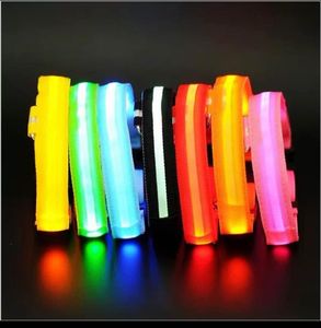 Cats: LED Pet Collar