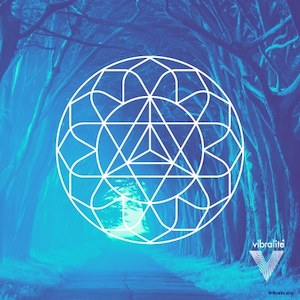 Products: Healer Vibralite® Healing