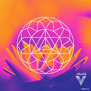 Products: Healing Explainer Vibralite