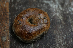 Frontpage: Fruit Bagel