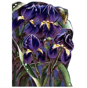 Victoriana - Greeting Cards and Prints